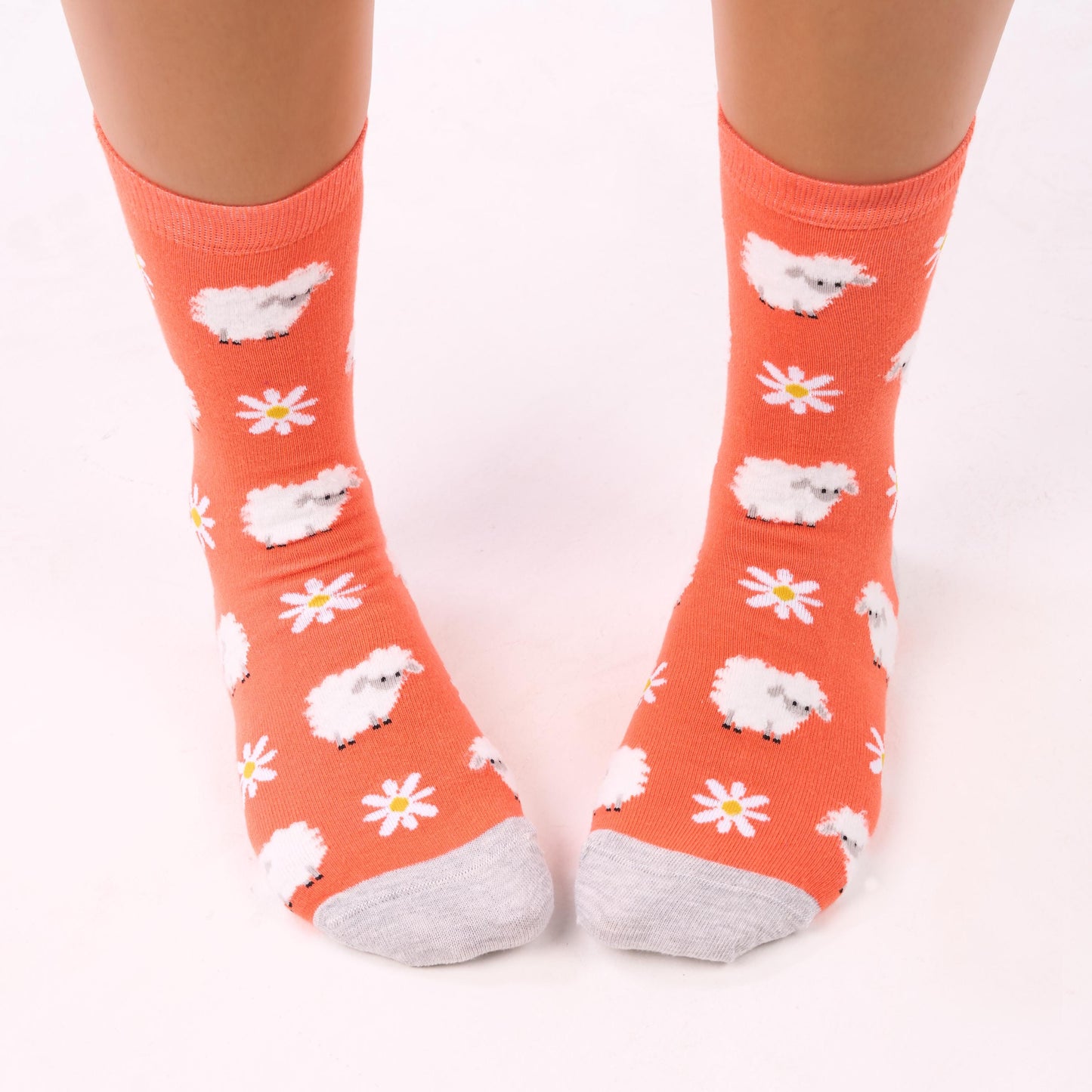 Sheep Socks
