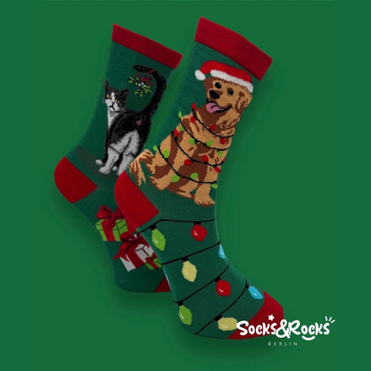 Christmas socks with dog