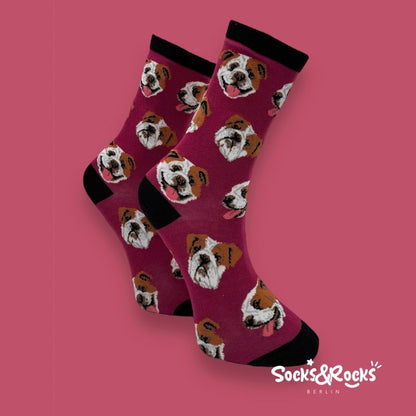 French Bulldog Socks