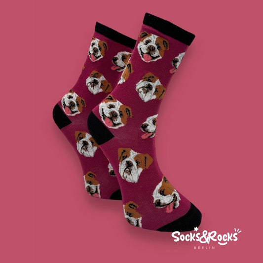 French Bulldog Socks