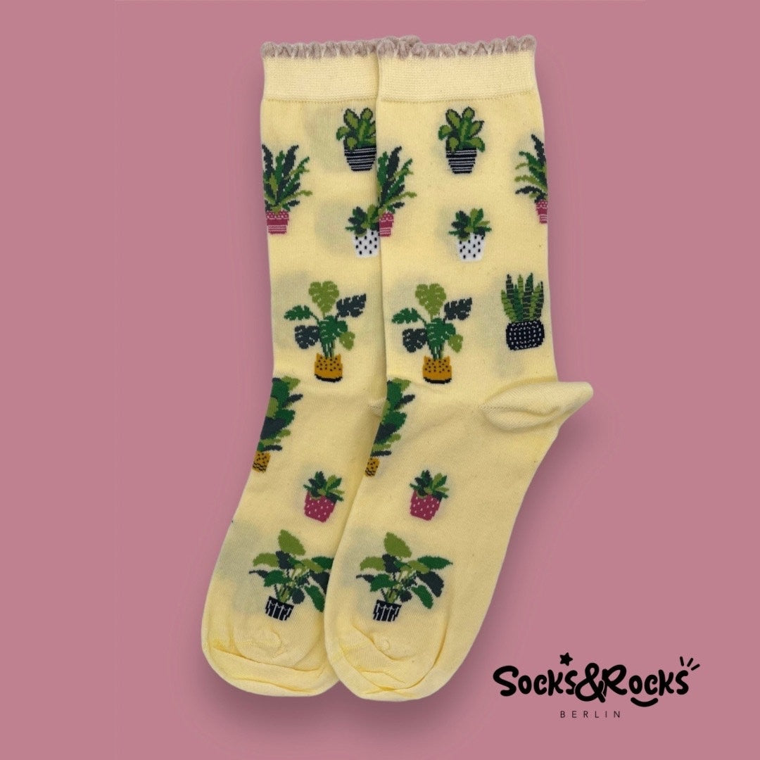 Plant Socks