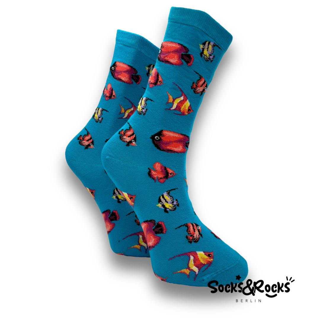 Fish Socks 2