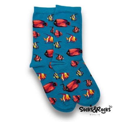 Fish Socks 2