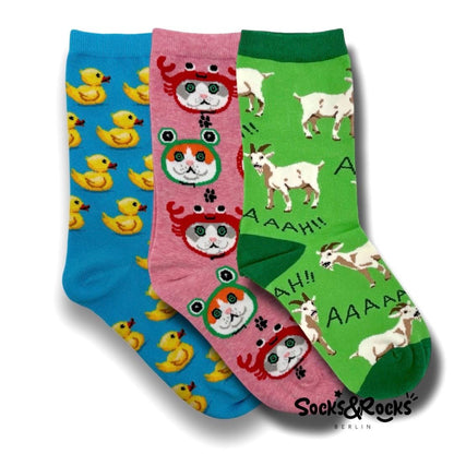 Animal Socks 1