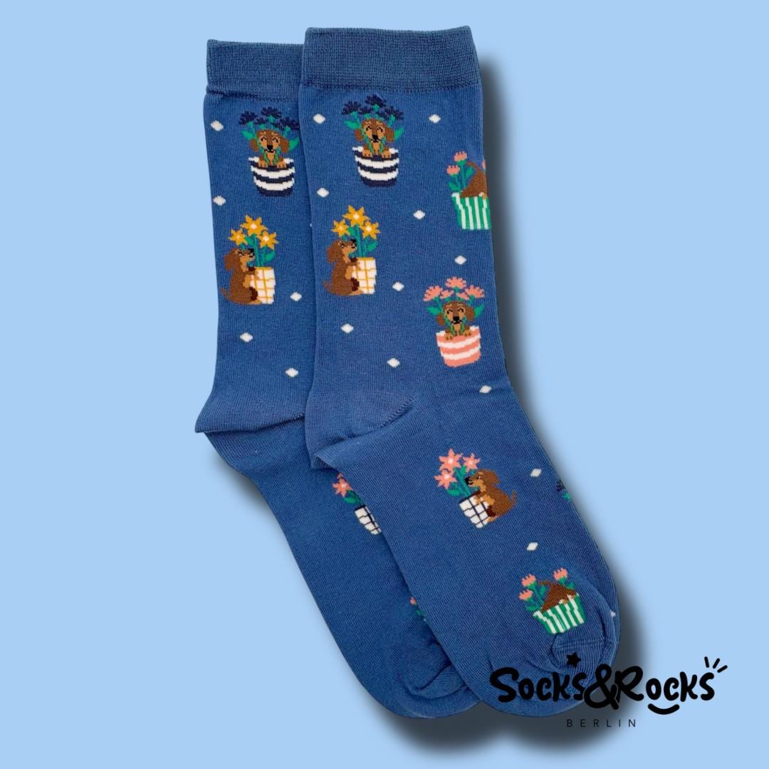 Sausage Dog Socks