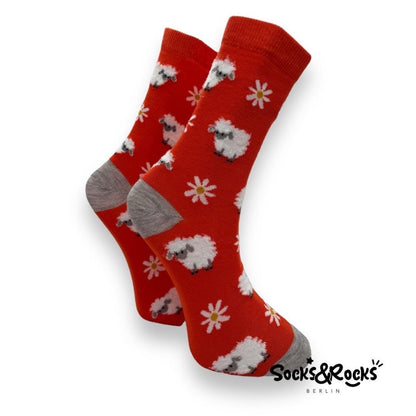 Mystery Sox - Mystery Box (M Size)