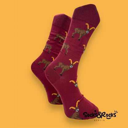 Mystery Sox - Mystery Box (L Size)