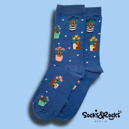 Sausage Dog Socks