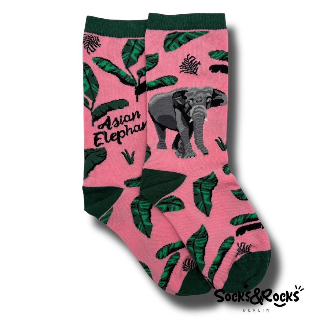 Animal Socks